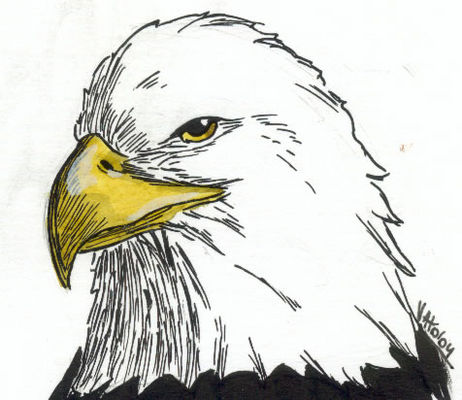 judkmi